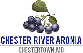 Chester River Aronia